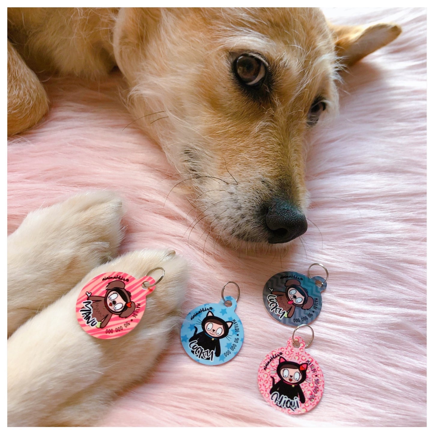 chapa pet personalizada