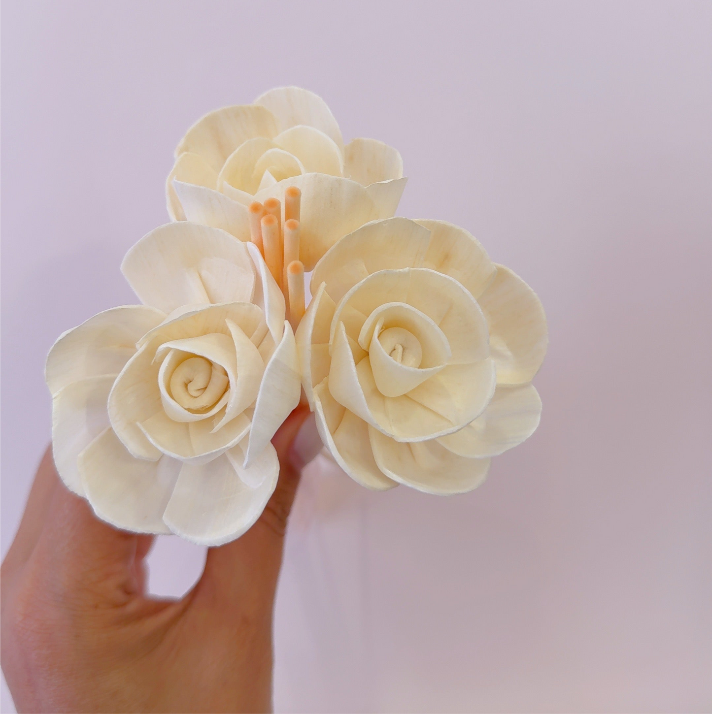 varas e flores para mikado/ambientador